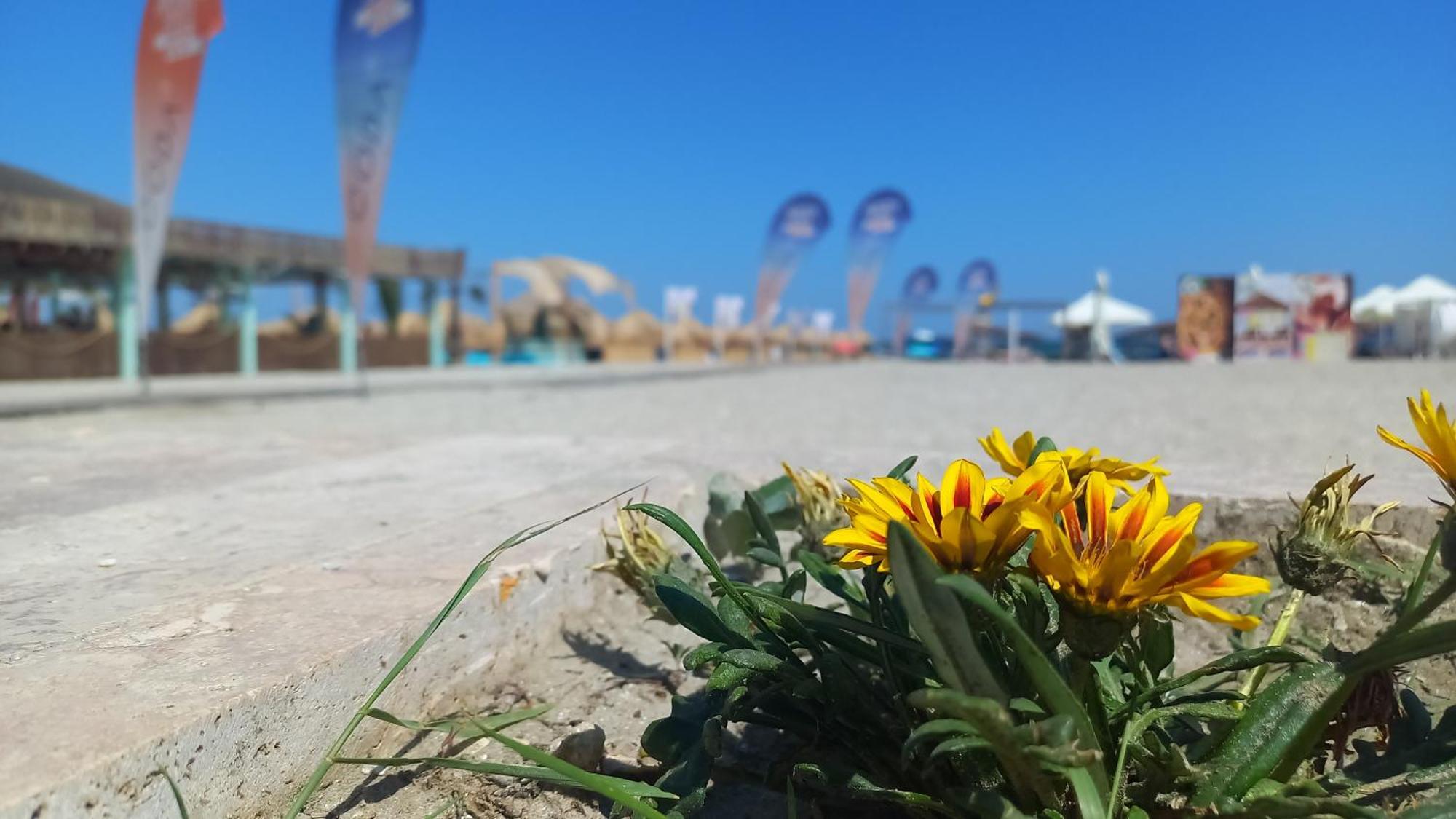 Luxury Promenada Apartment - Frontal Beachfront Mamaia Nord Нэводари Экстерьер фото